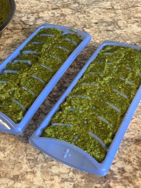 Sofrito portioned into ice cube trays.