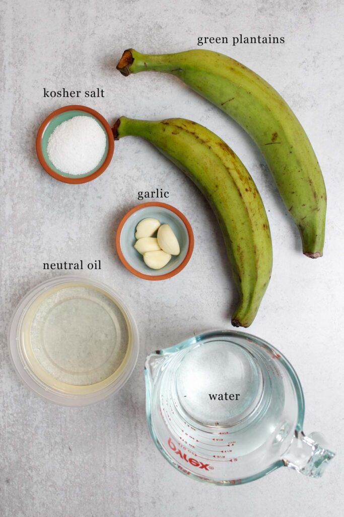 Ingredient flat lay for twice fried tostones: green plantains, kosher salt, garlic cloves, neutral oil, and water.