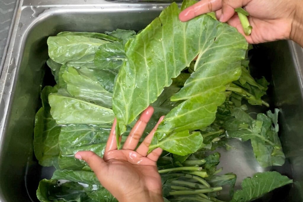 Stripped collard green leaf above a sink full of collard greens.