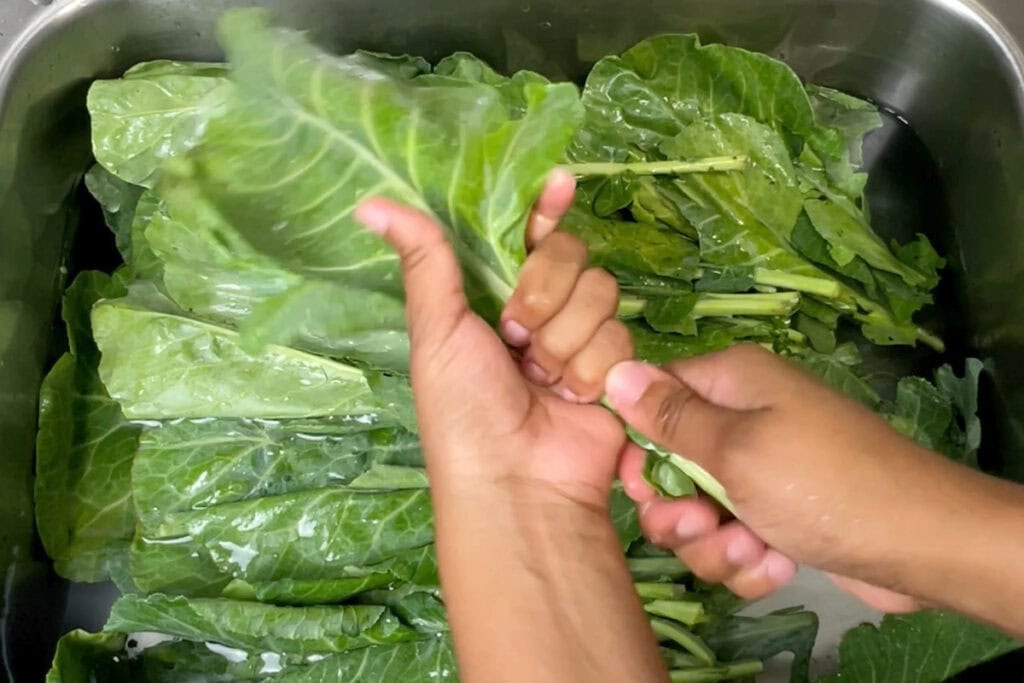 Stripping collard greens above a sink full of collard greens.