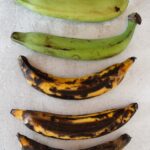 5 plantains, gradient from green unripe, to yellow and black fully ripe.