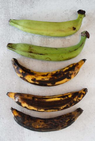 5 plantains, gradient from green unripe, to yellow and black fully ripe.